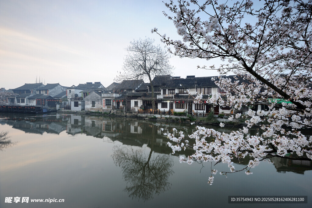 水鄉春景 繁花映古居