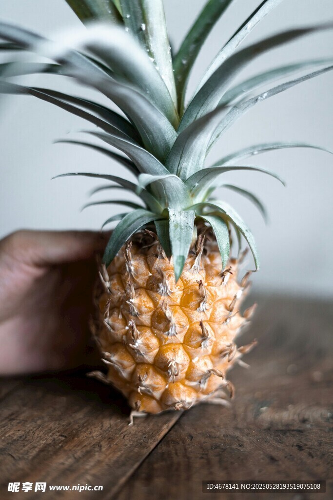 手托新鮮菠蘿特寫