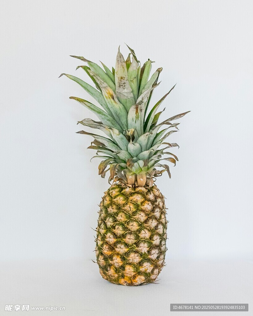 金黃飽滿的新鮮菠蘿