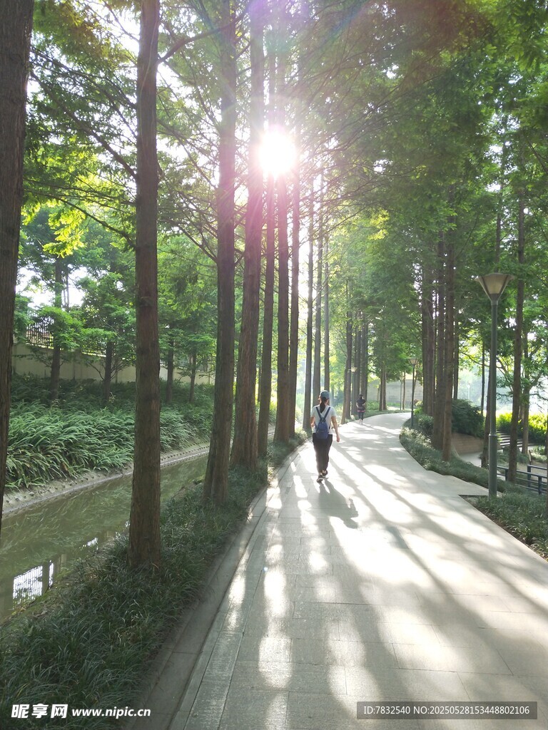 散步在林間小徑