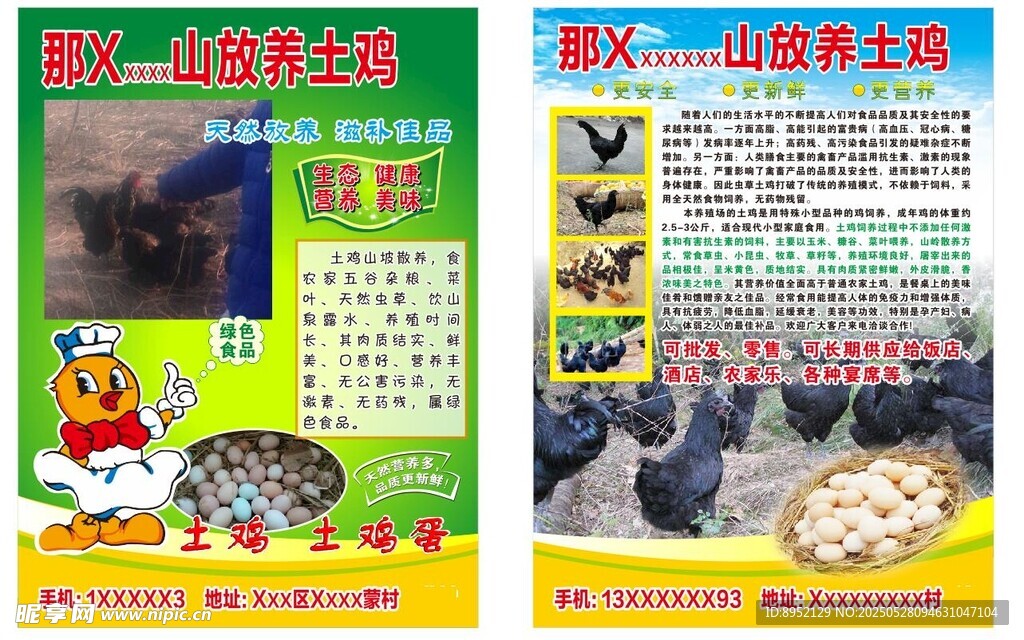 宣傳單 土雞 海報