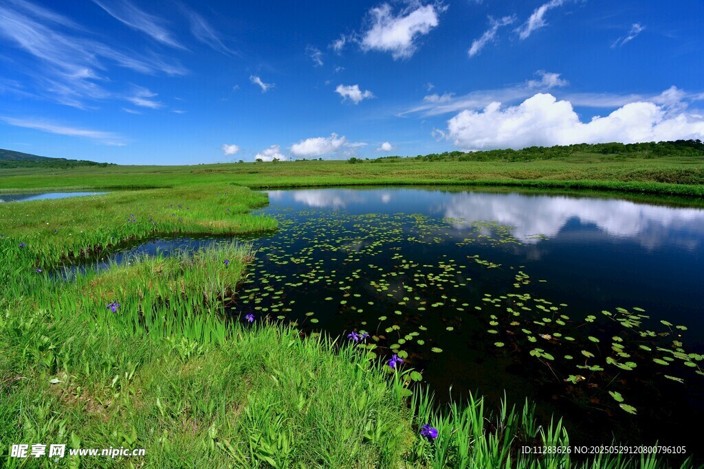 草原湖畔美景