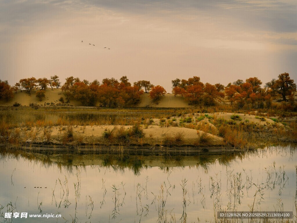秋日湖畔風景