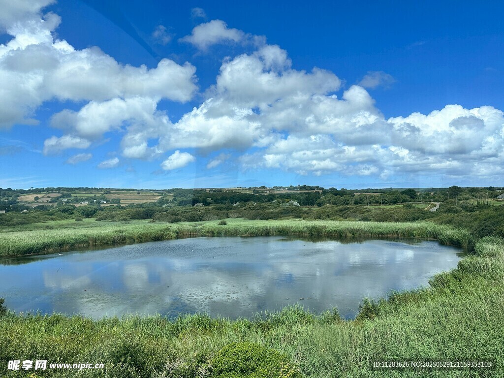湖畔綠野藍天美景