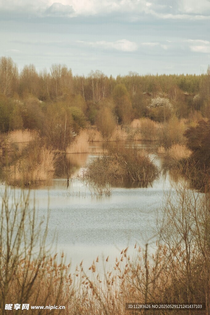 湖畔秋景
