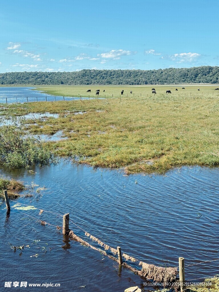 湖畔草地與木柵欄風(fēng)景