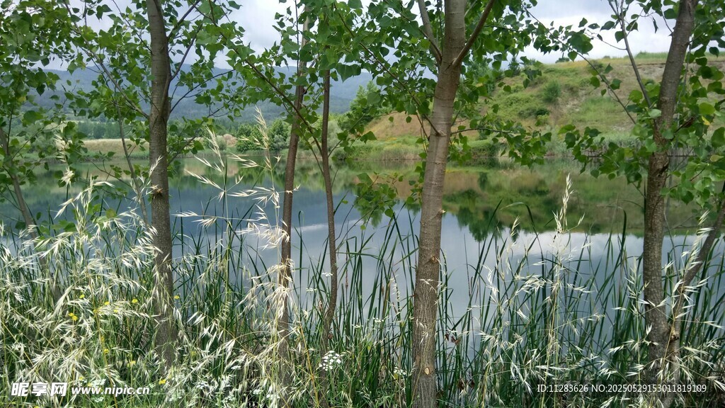 林間水景 自然清新風(fēng)光