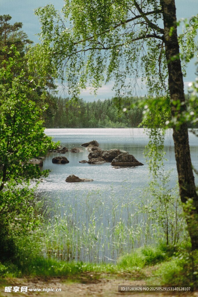 湖畔森林美景