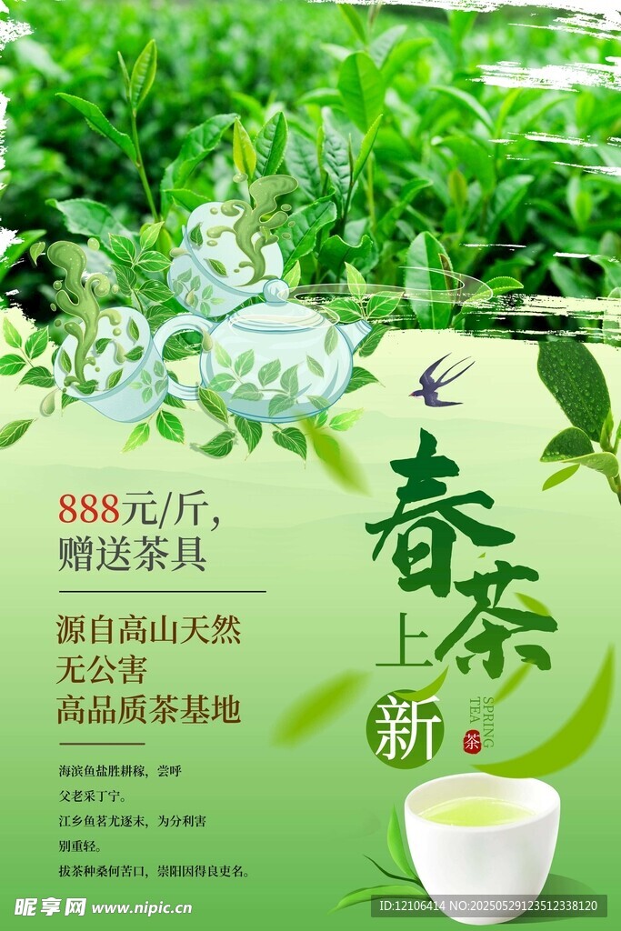 春茶上市