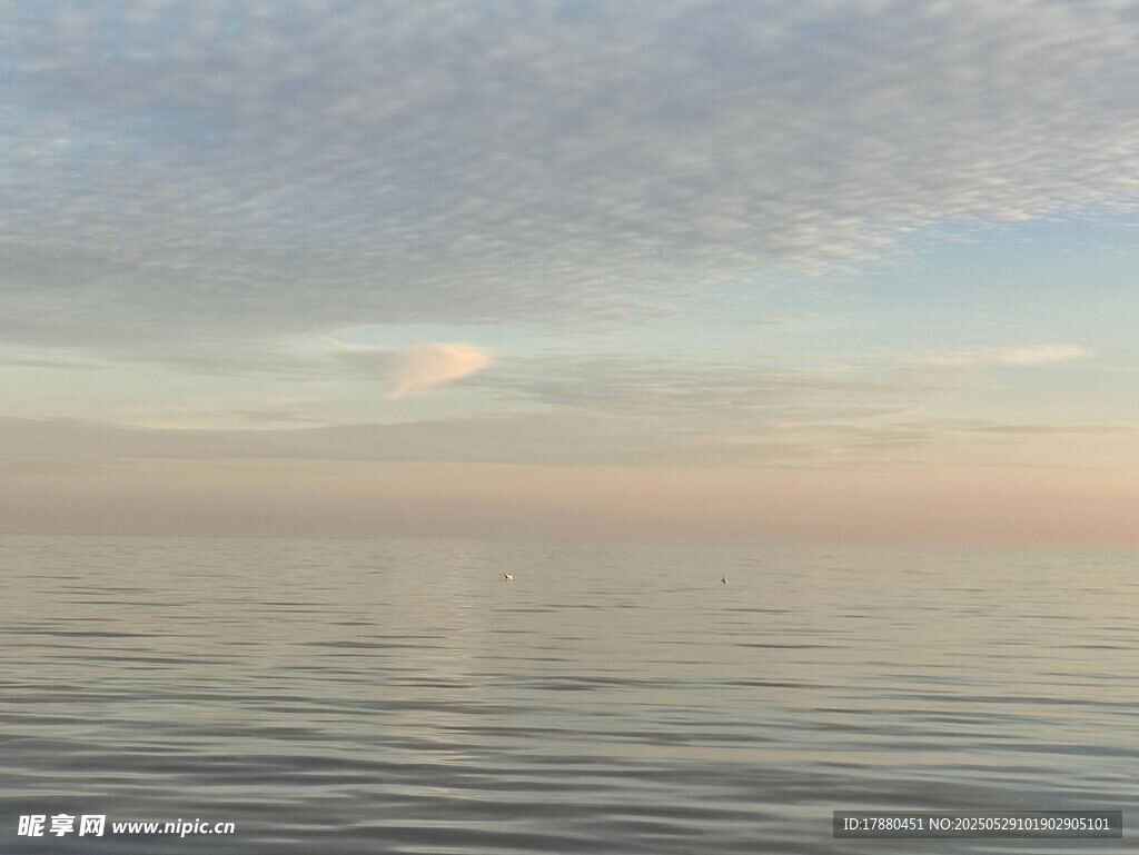 大海