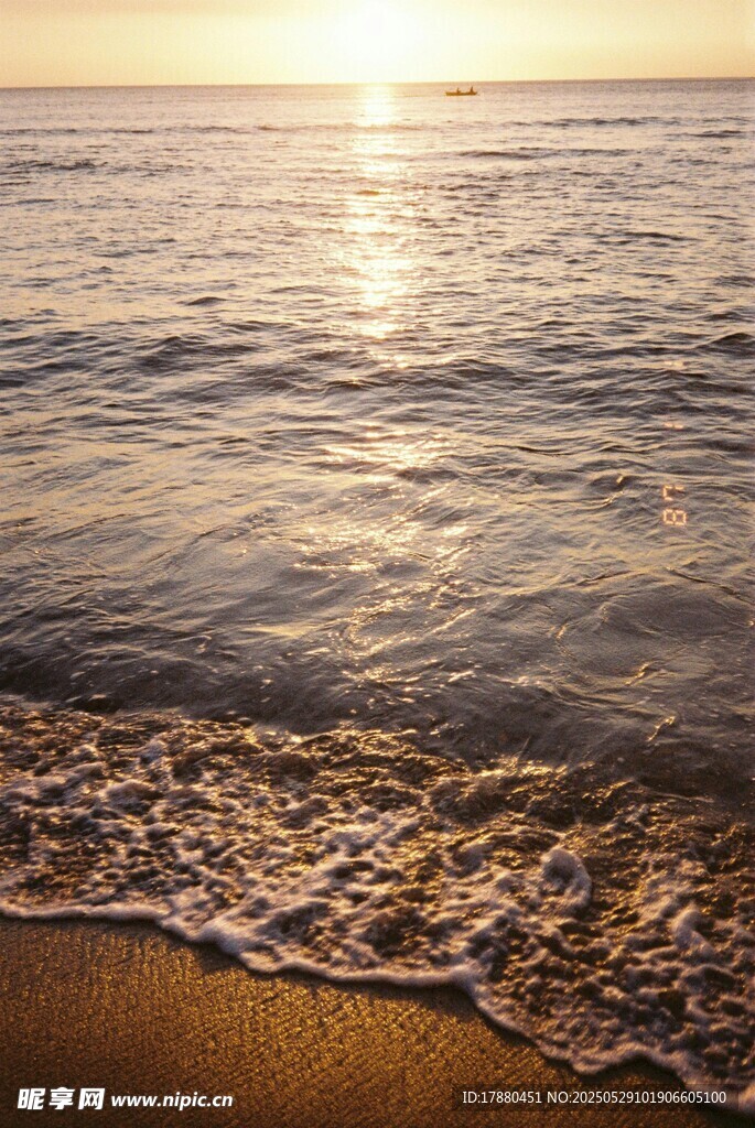 大海