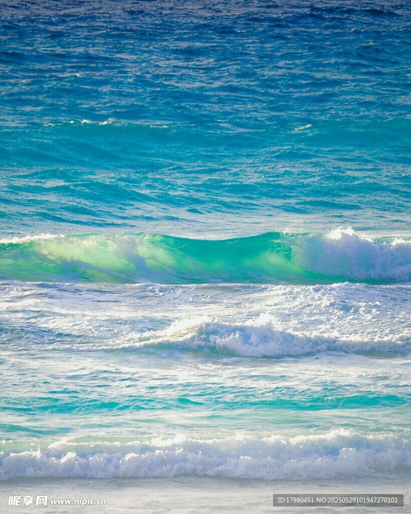 大海