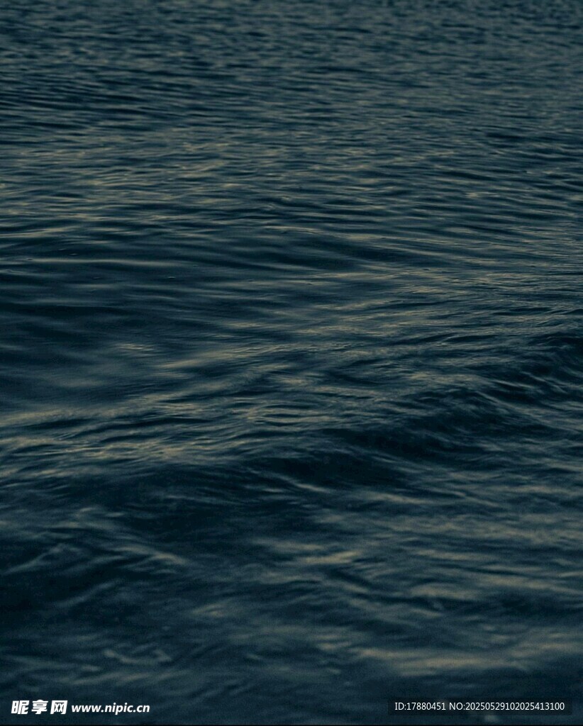 大海