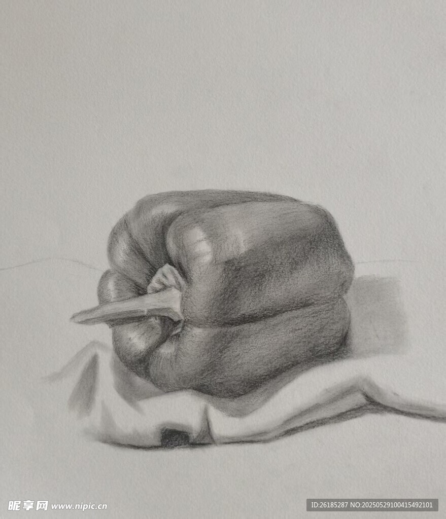 青椒素描