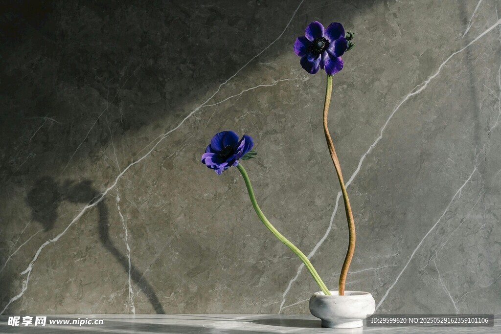 兩朵藍花插于素雅花瓶中