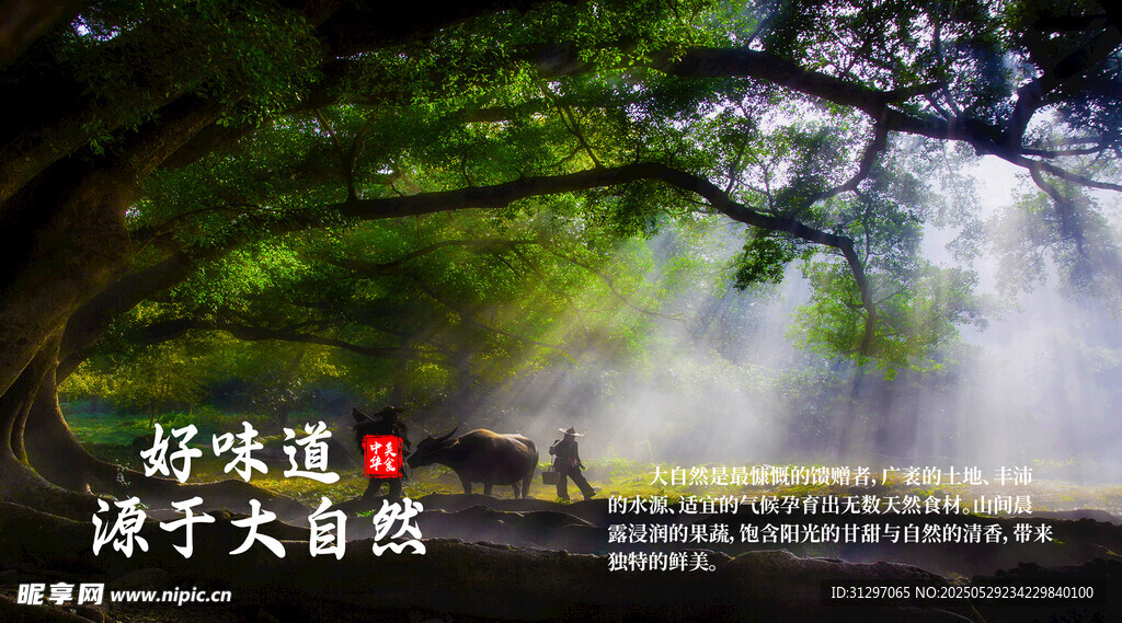 漫步林間享受自然時(shí)光