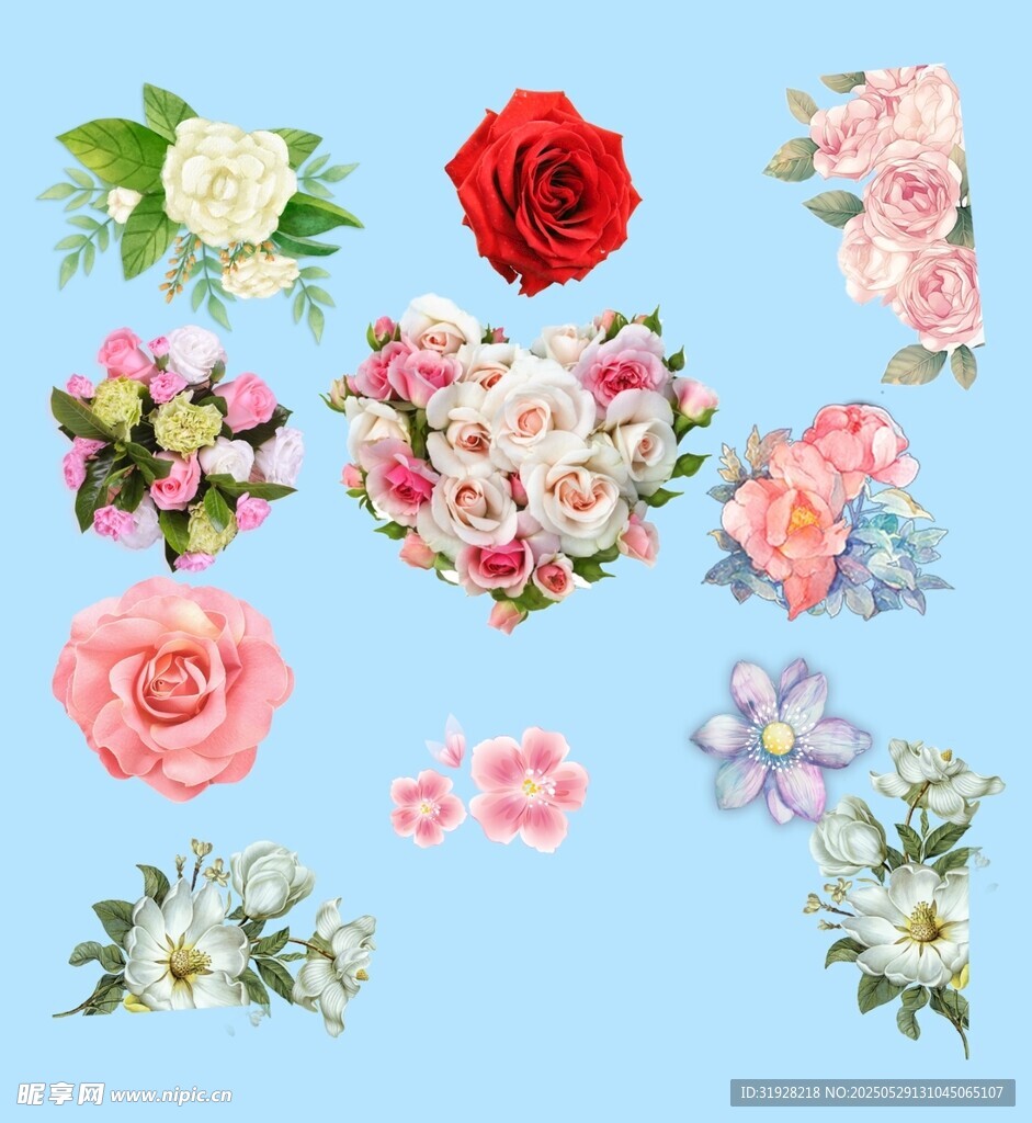 鮮花素材