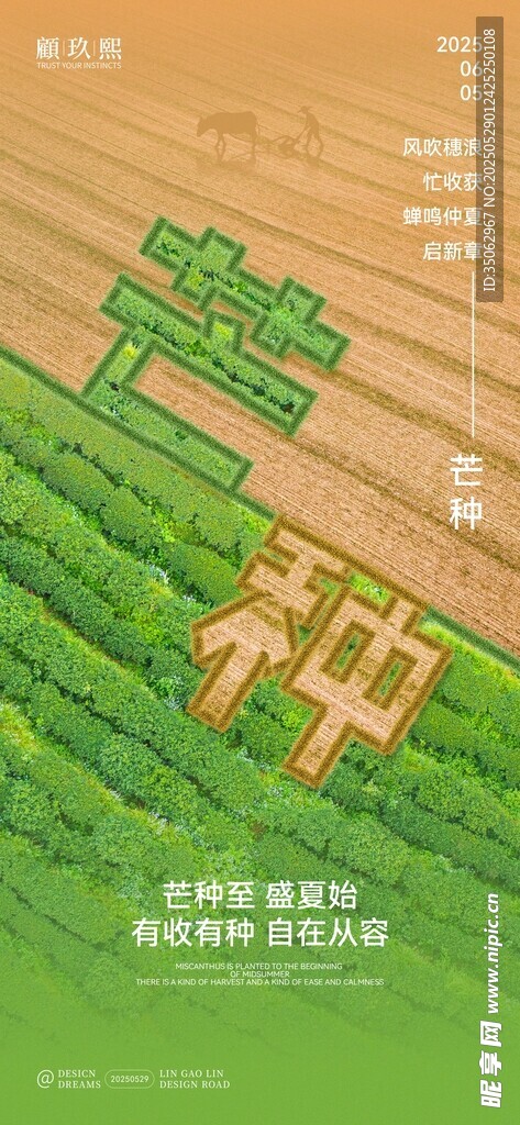芒種創(chuàng)意海報(bào)