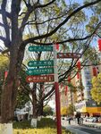 街頭多方向指示路牌