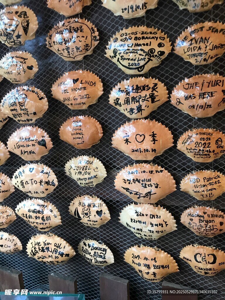 多彩手繪蛋整齊排列展示
