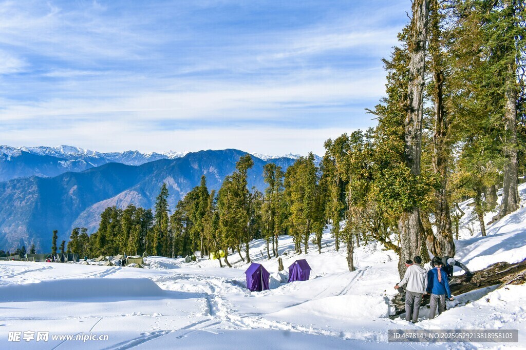 雪山松林間的露營場景