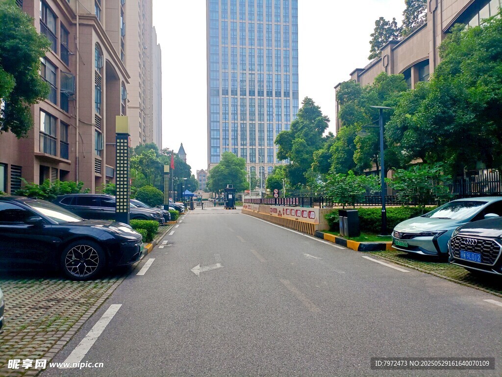 城市街道兩旁停放的車輛