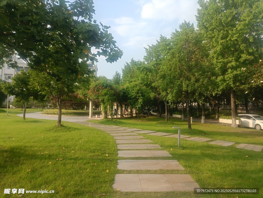 公園中的幽靜石板小路