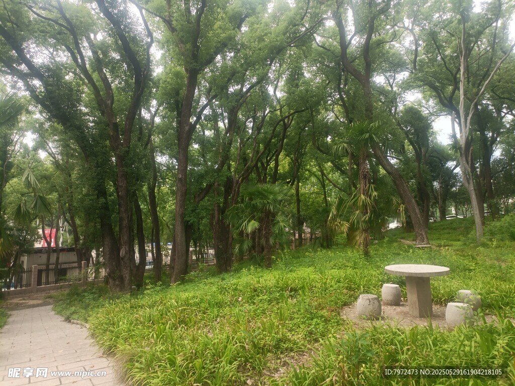 林間草地中的休閑石桌椅