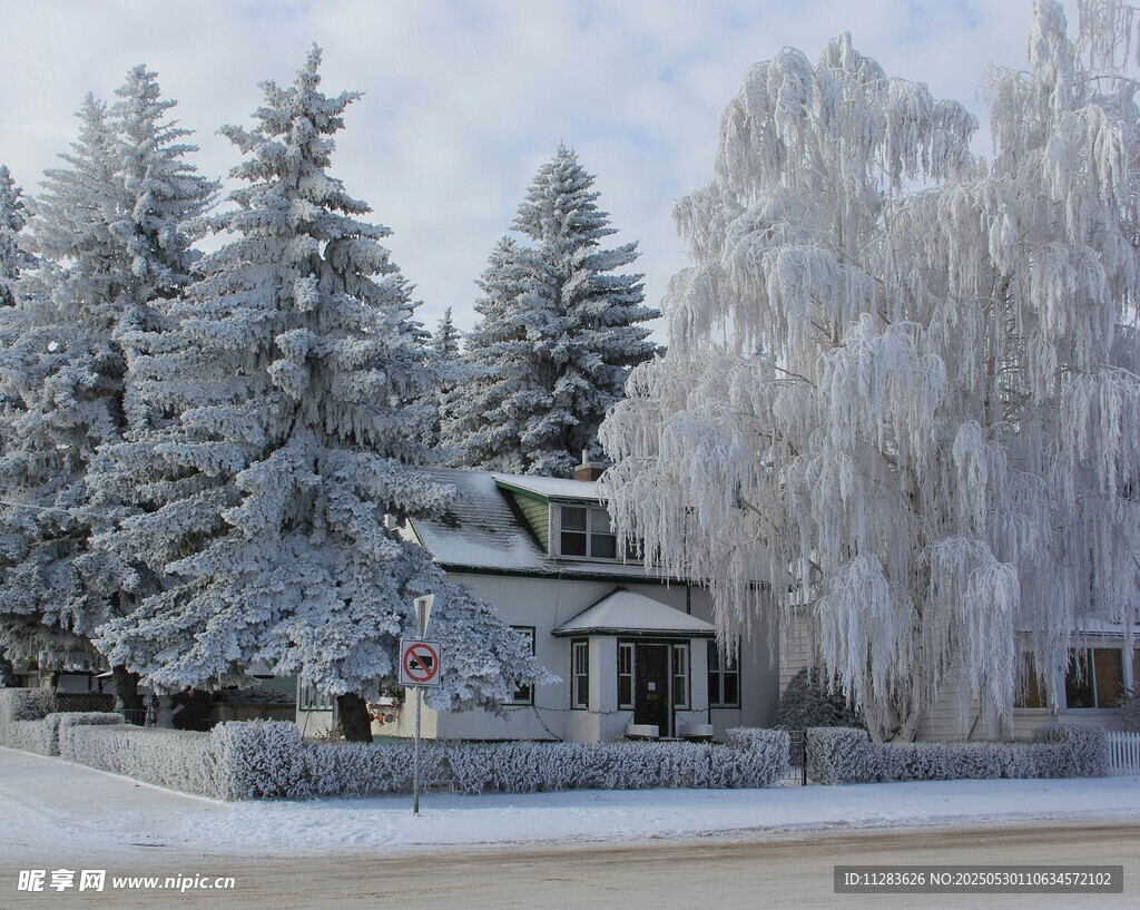 冬日雪景中的溫馨小屋
