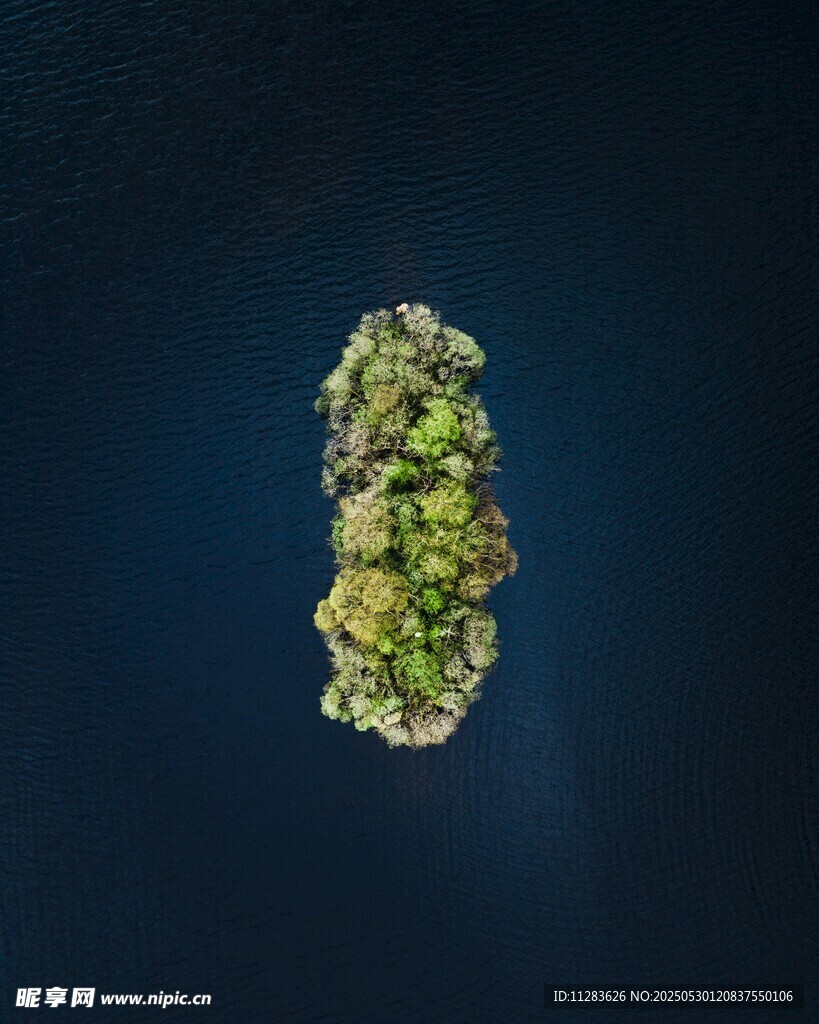 空中俯瞰的綠色島嶼
