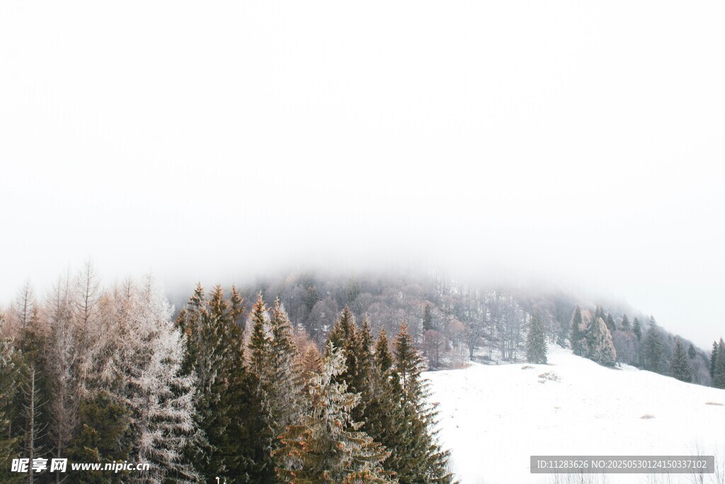 雪覆山林的靜謐冬日景象