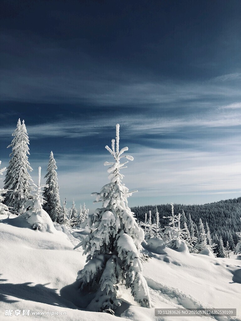 冬日雪覆山林美景