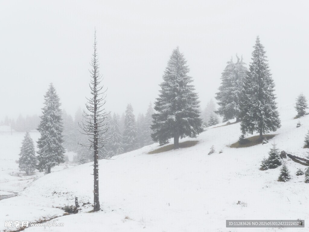 雪覆山林的冬日美景