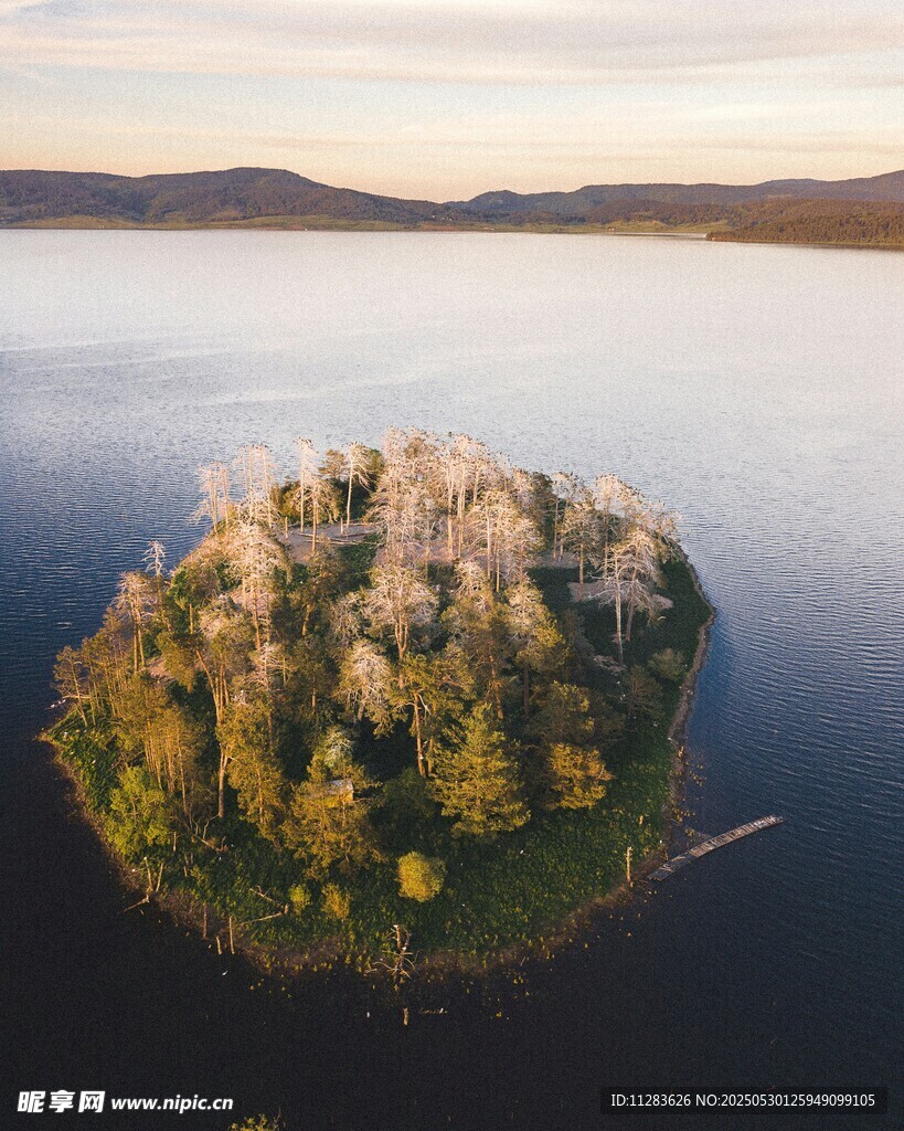 湖中小島的自然美景
