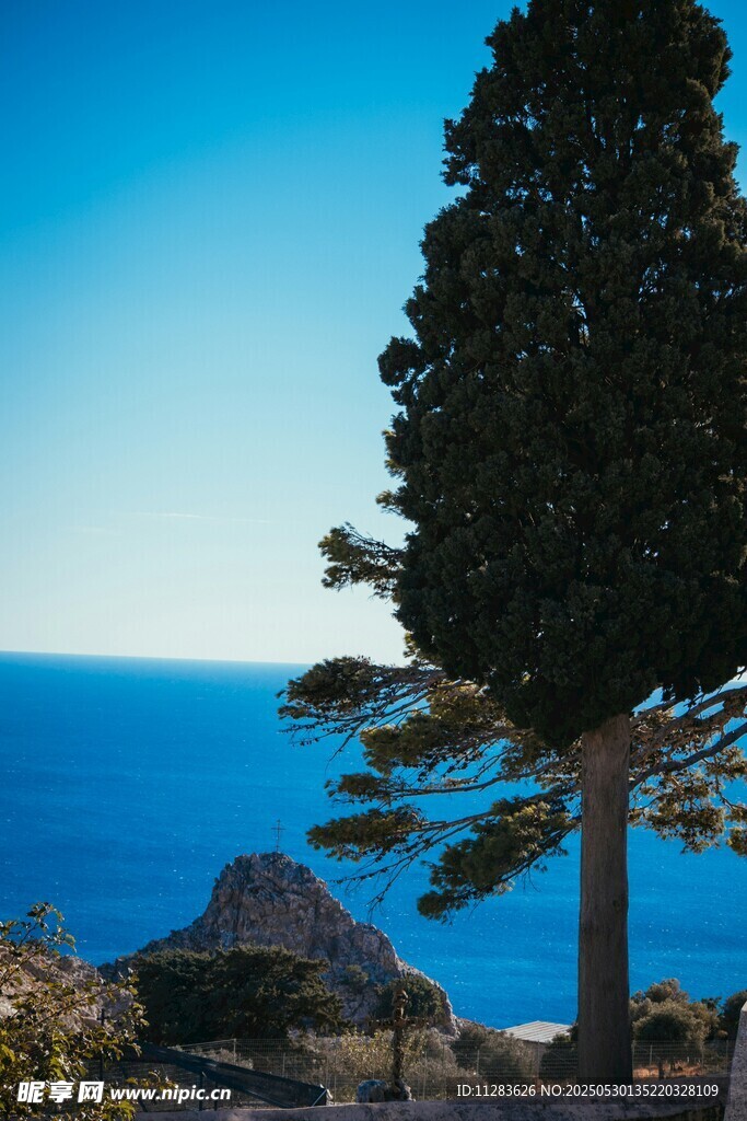 海邊孤樹美景