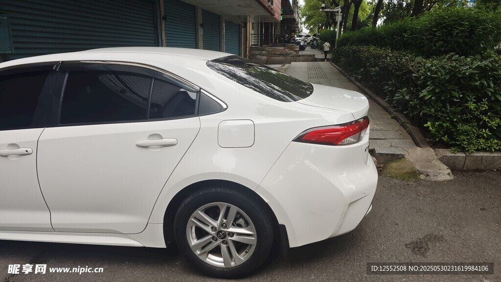 白色轎車停靠綠植旁