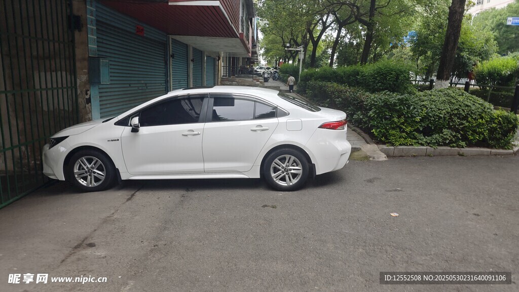 白色轎車停在戶外環境