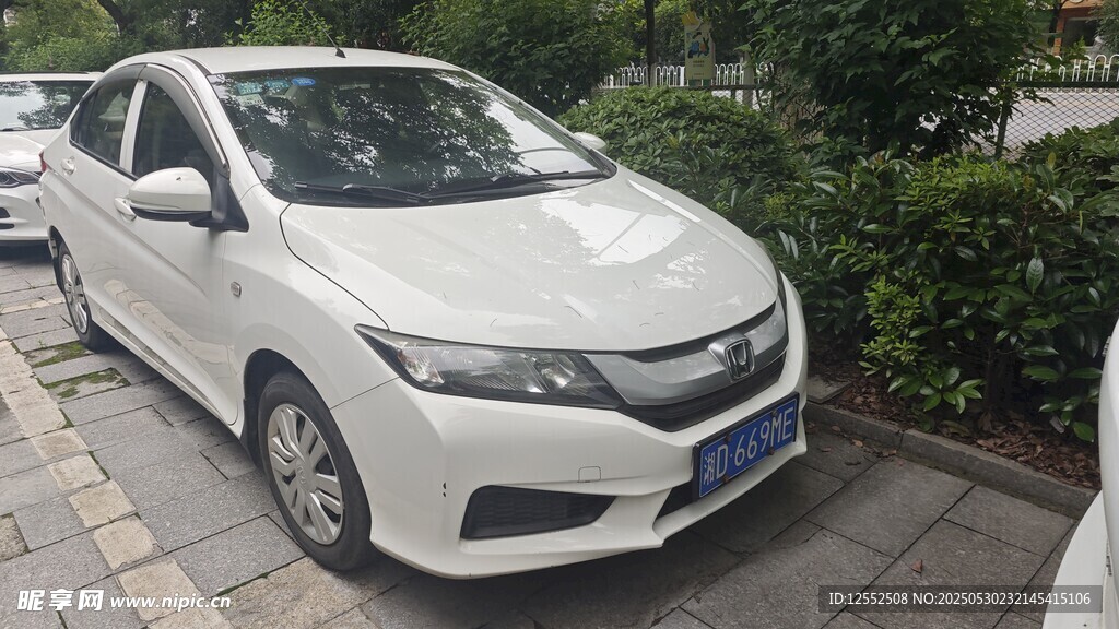白色轎車停在綠植旁
