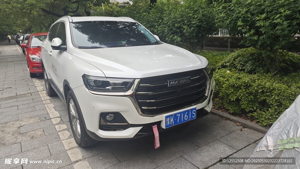 白色SUV停于路邊