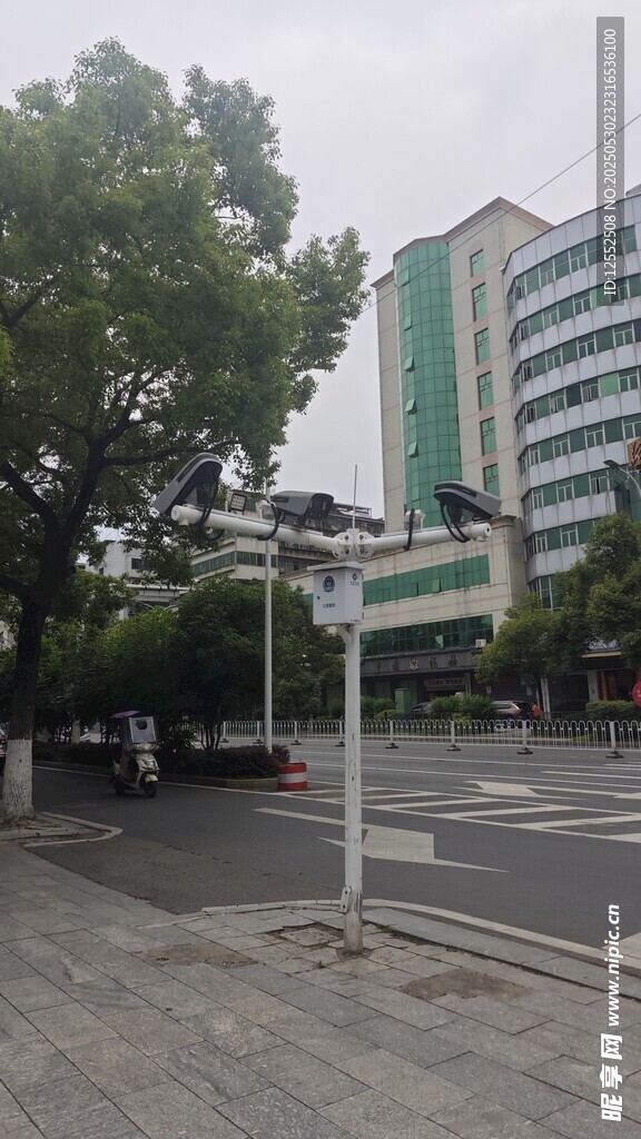 城市街道旁的高樓與綠樹