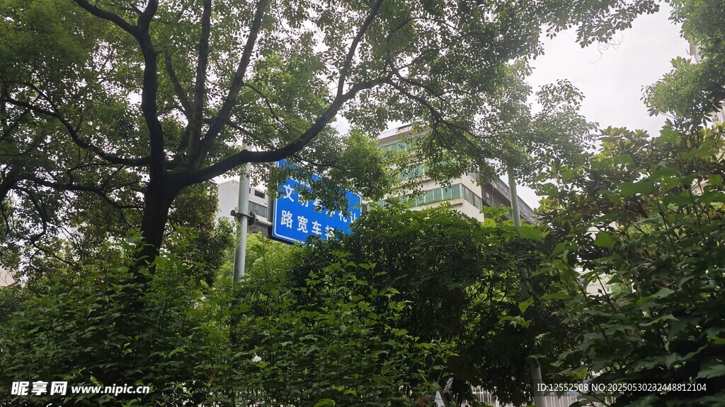 綠樹掩映中的藍(lán)色標(biāo)識牌