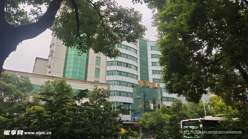 綠樹環繞的現代建筑
