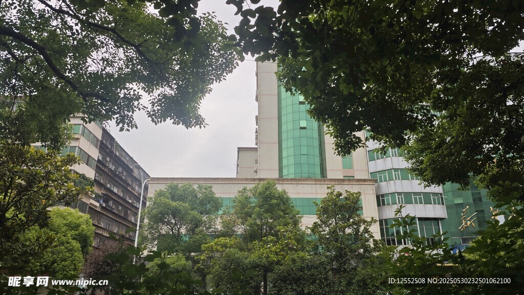 綠樹掩映中的現代建筑