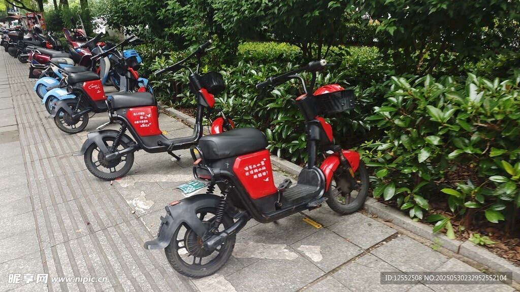 一排停放的紅色電動摩托車