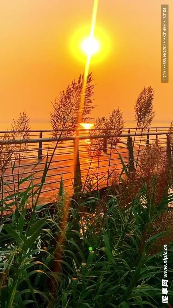 夕陽下的田野與圍欄美景