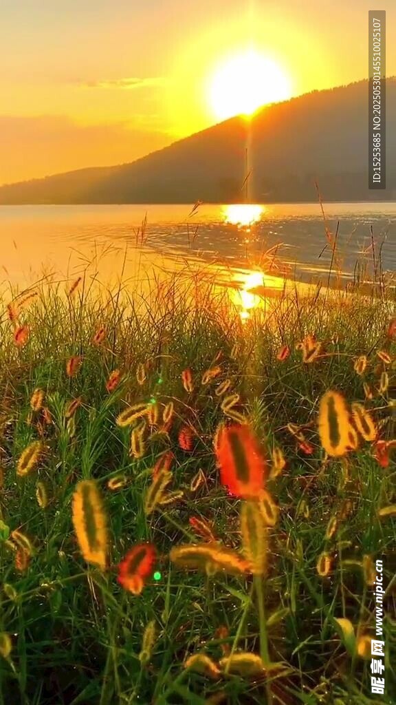 夕陽下的多彩草地與湖水