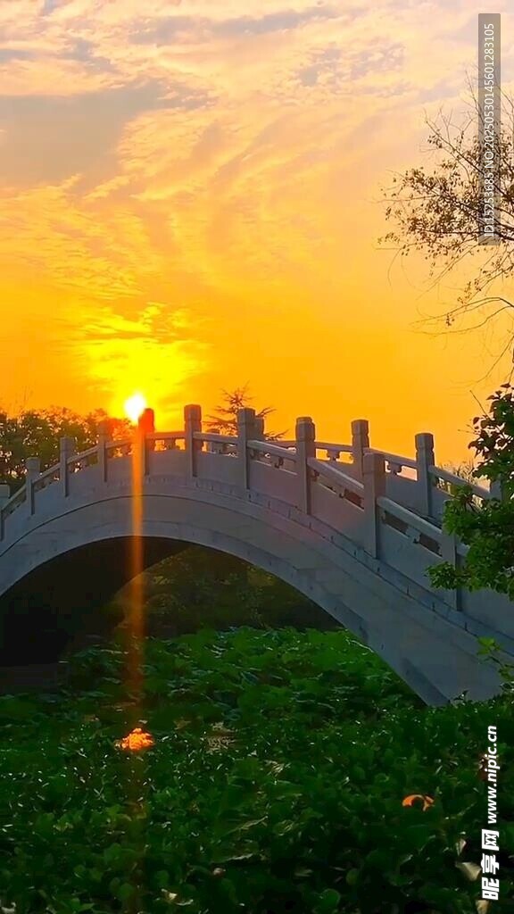 夕陽下的石橋美景
