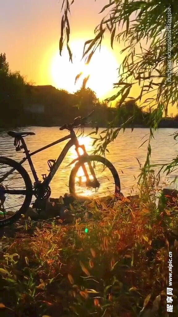 夕陽下湖畔的自行車美景