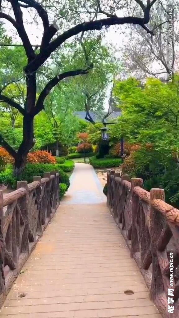 林間木橋小徑風(fēng)景如畫