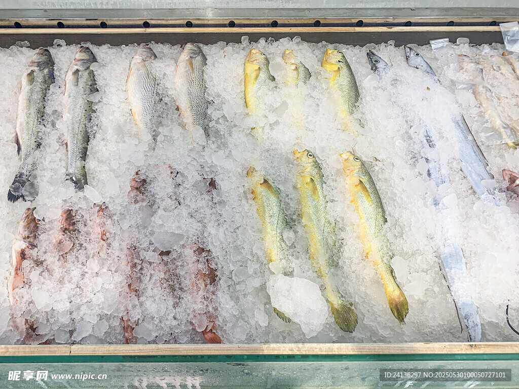 冰柜中的多樣鮮魚